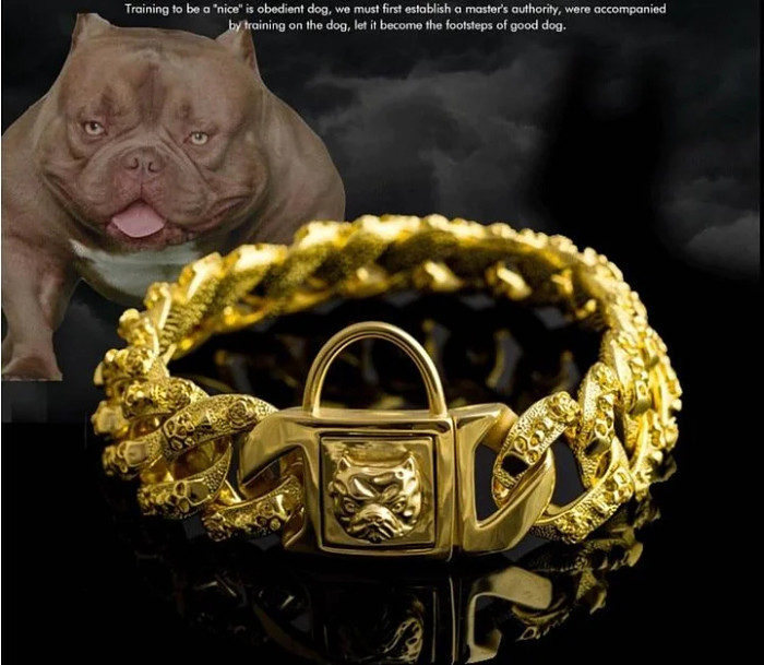 Cuban Link Dog Chain Collar