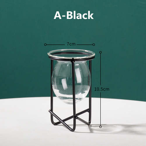 Transparent Glass Vase