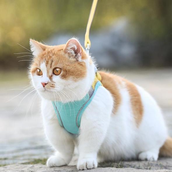 Cat Vest Harness and Leash Set - Escape Proof For Outdoor Walking