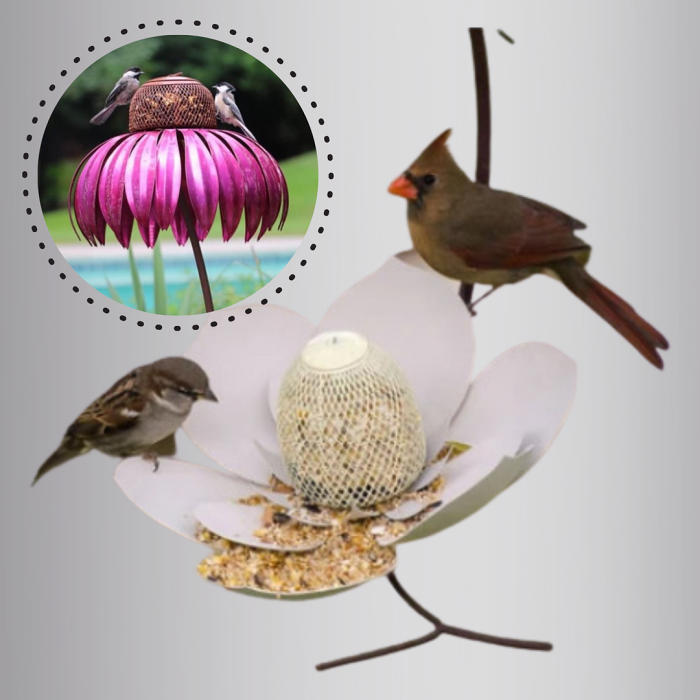 Coneflower Decorative Bird Feeder