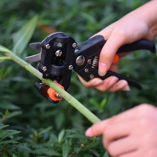Professional Garden Grafting Tool Set