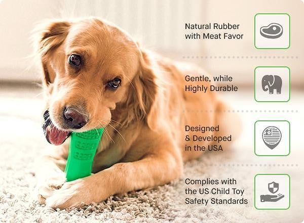 Teeth Cleaning Dog Toothbrush & Chew Toy