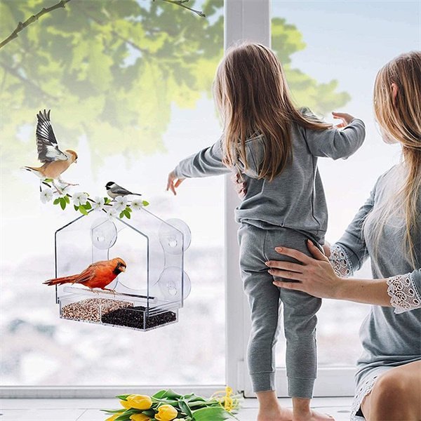 Clear Window Mount Window Bird Feeder
