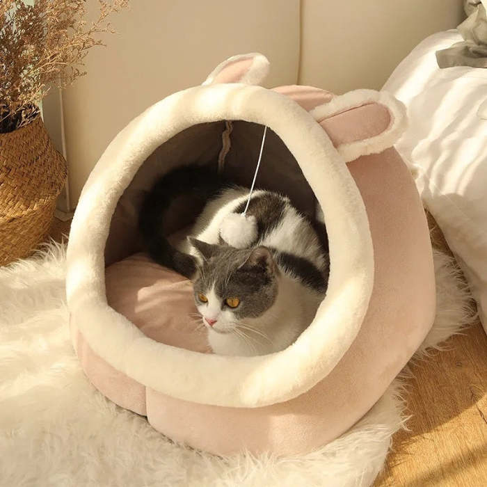 Best Sweet Cat Bed