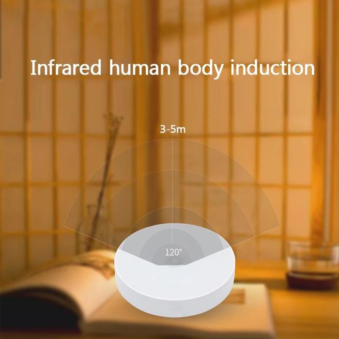 Motion Sensor Light