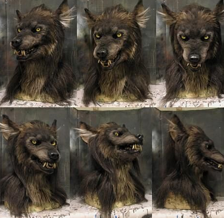 Detachable Costume Mask and Animal Helmet
