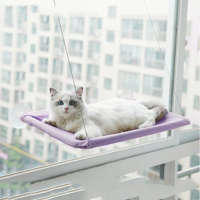 The Kitty Hammock