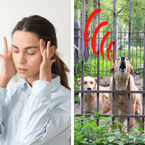 Anti Barking Device Bark Control Device -Stop Your Neighbors Dog from Barking
