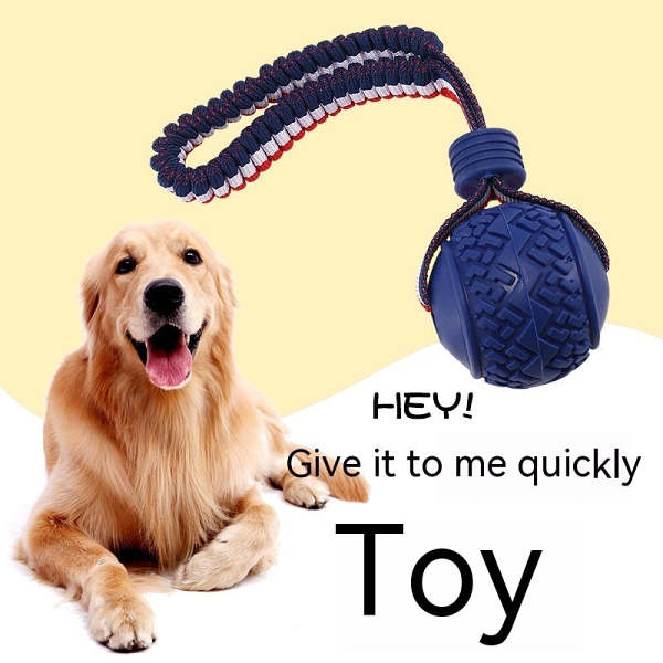 Interactive dog toy ball with rope.
