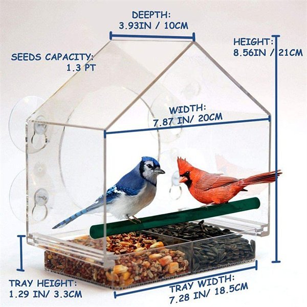 Clear Window Mount Window Bird Feeder