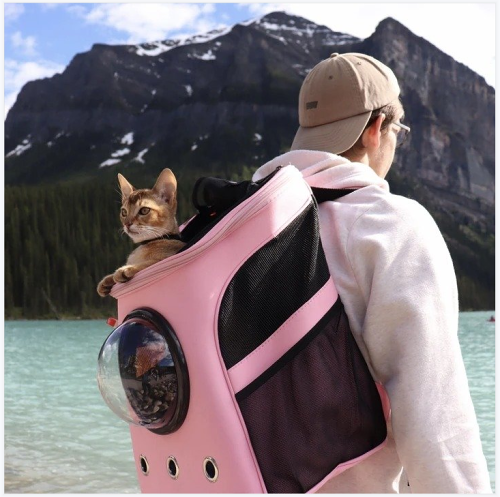 Cat Backpack - For Larger Cats