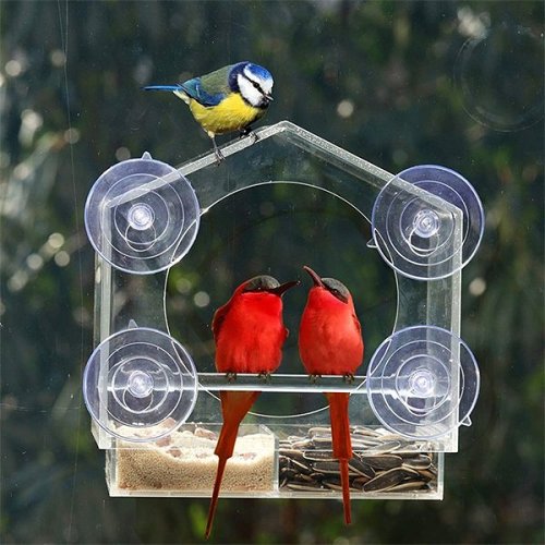 Clear Window Mount Window Bird Feeder