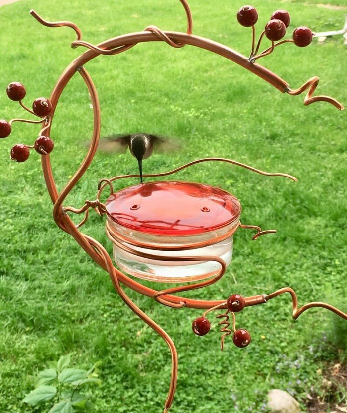 Red Berries Hummingbird Feeder