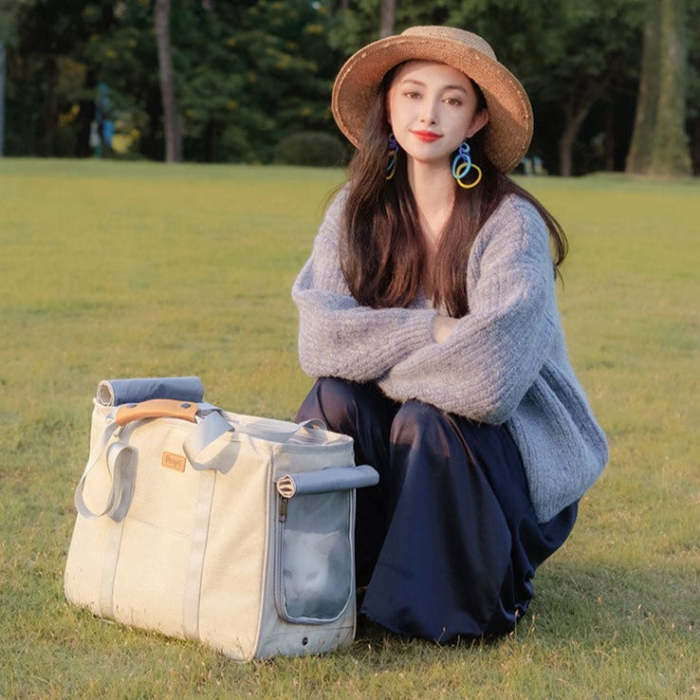 Walk Pet Carrier Tote Bag