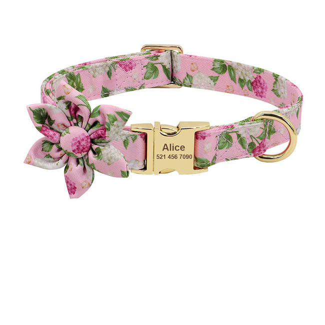 Personalized fashion dog collars.