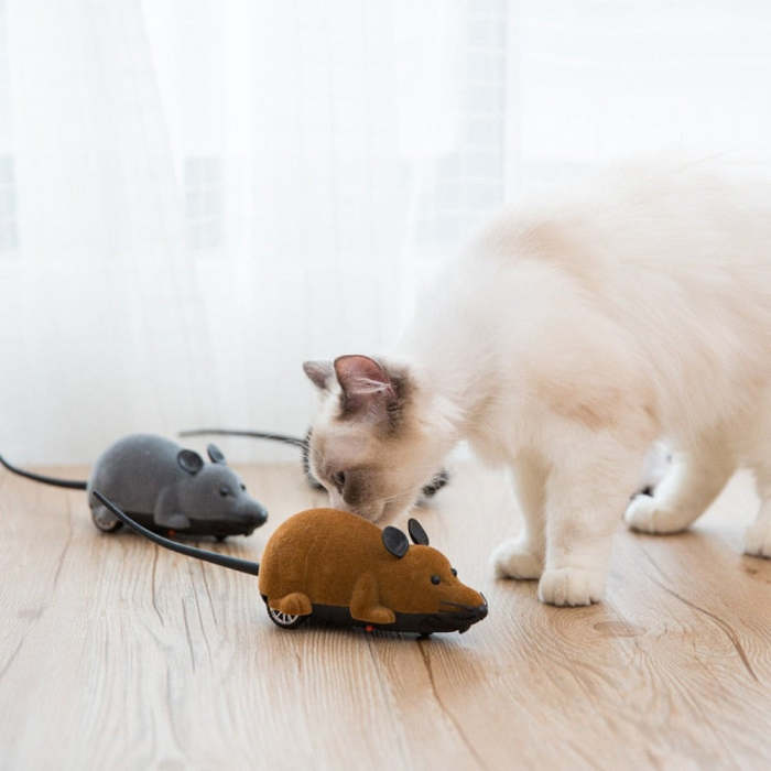 Remote Control Mouse Cat Toy (3 Colors) Healthy Exercise