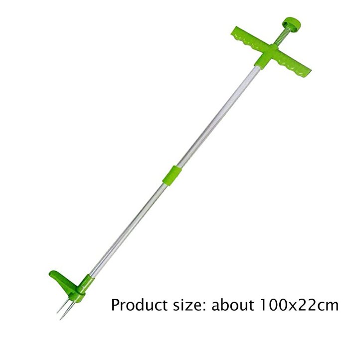 Root Remover Tool Weeding Out Your Garden