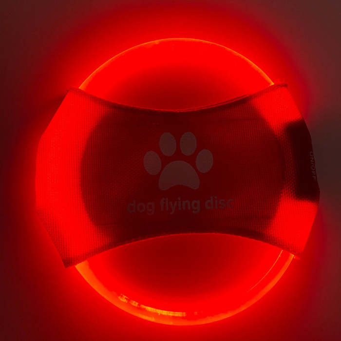 LED dog flying disc.