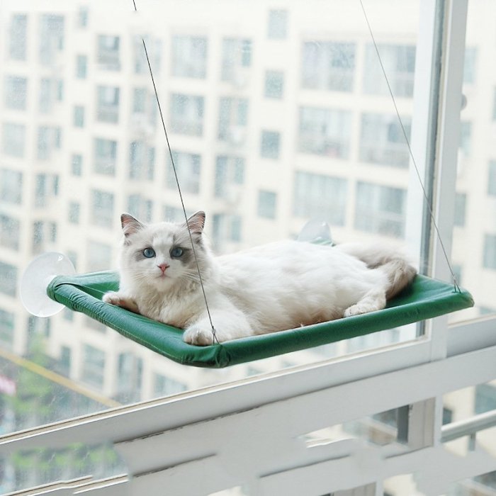 The Kitty Hammock