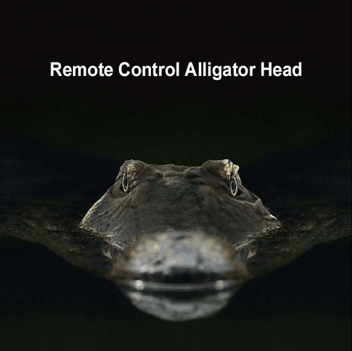 RC Crocodile 2.4 GHz Remote Control Crocodile Toys
