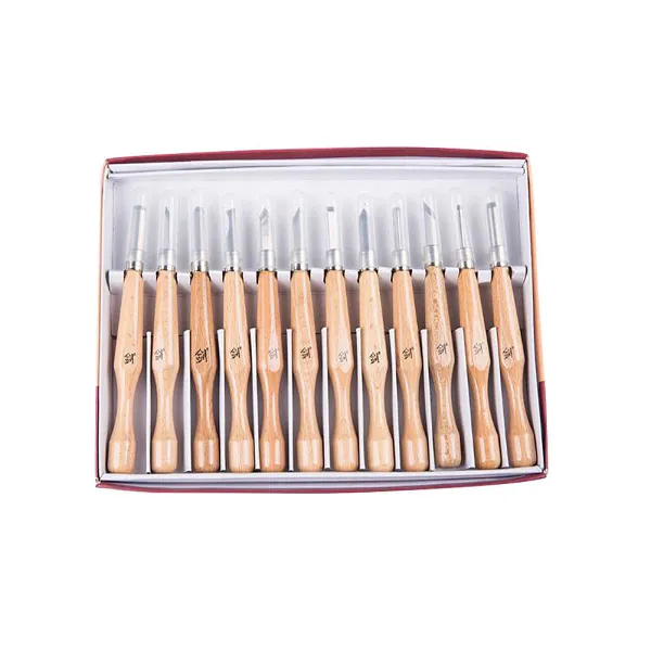 12 Pcs Engraving Knife Wood Carving Tools Kit Carbon Steel Graver Set with Storage Case for Kids & Beginners