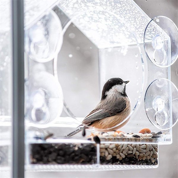 Clear Window Mount Window Bird Feeder