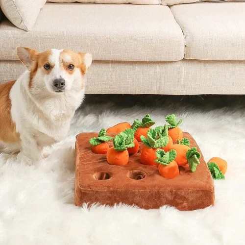 Carrot Farm - Interactive Carrot Plush Toy