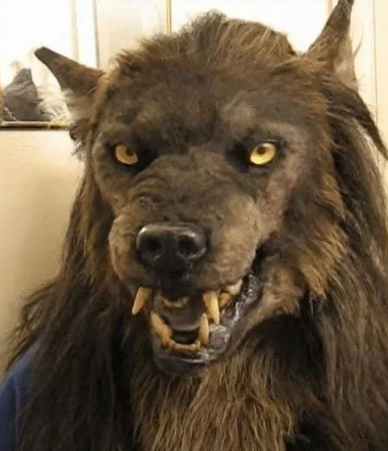 Detachable Costume Mask and Animal Helmet