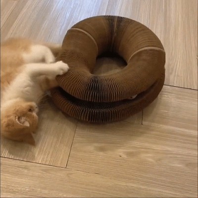 Fun Organ Cat Scratching Board Toy