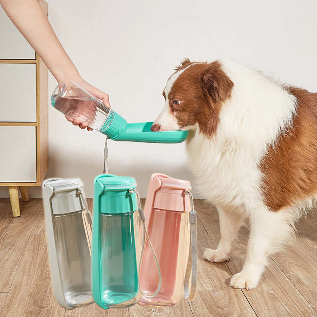 Portable Folding Dog Water Bottle