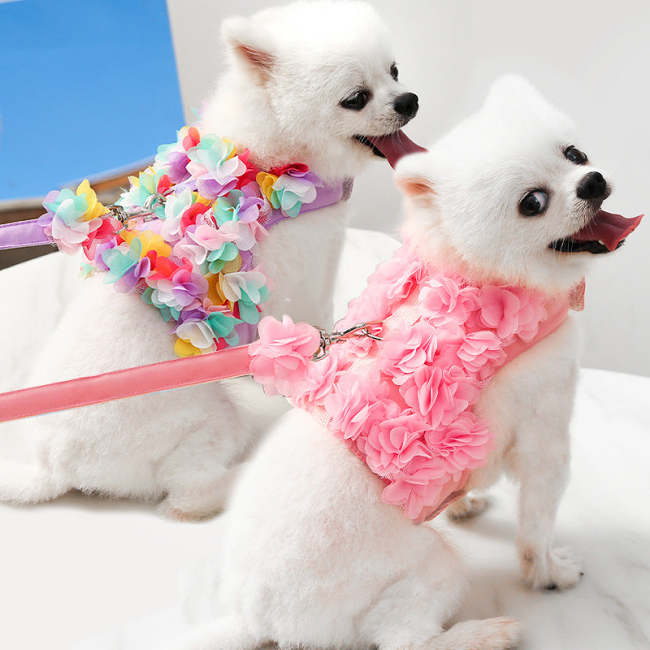 Small Dog Dress Harness Leash Set