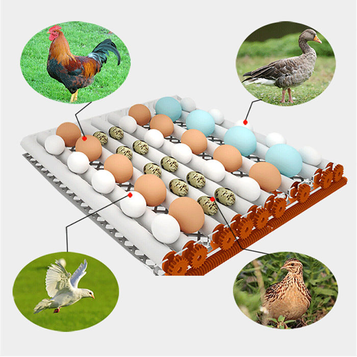 Eggs Incubators for Hatching Chicken Duck Poultry Automatic Turner LED Display