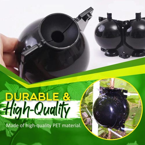 Plant Root Growing Box