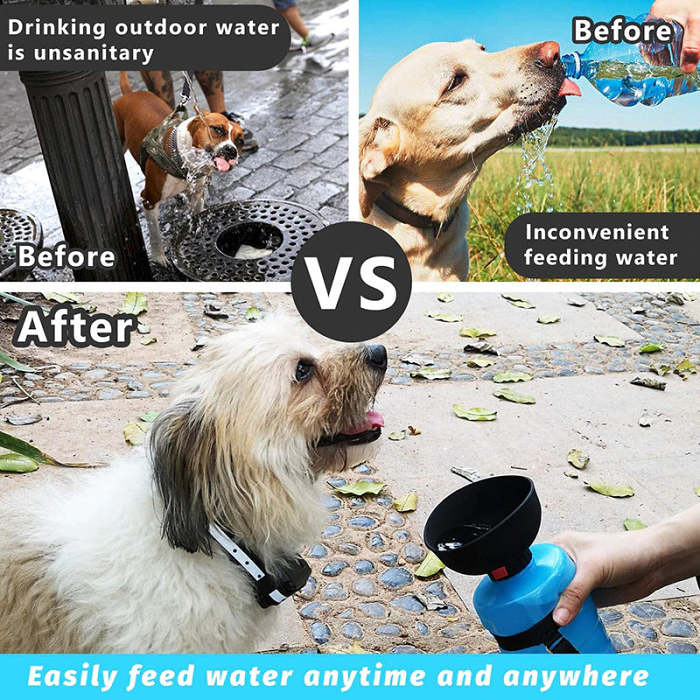 Dog water bottle