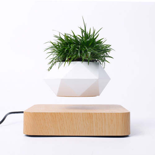 Magnetic Floating Levitating Plant Pot for Plants with Oak Wood Base