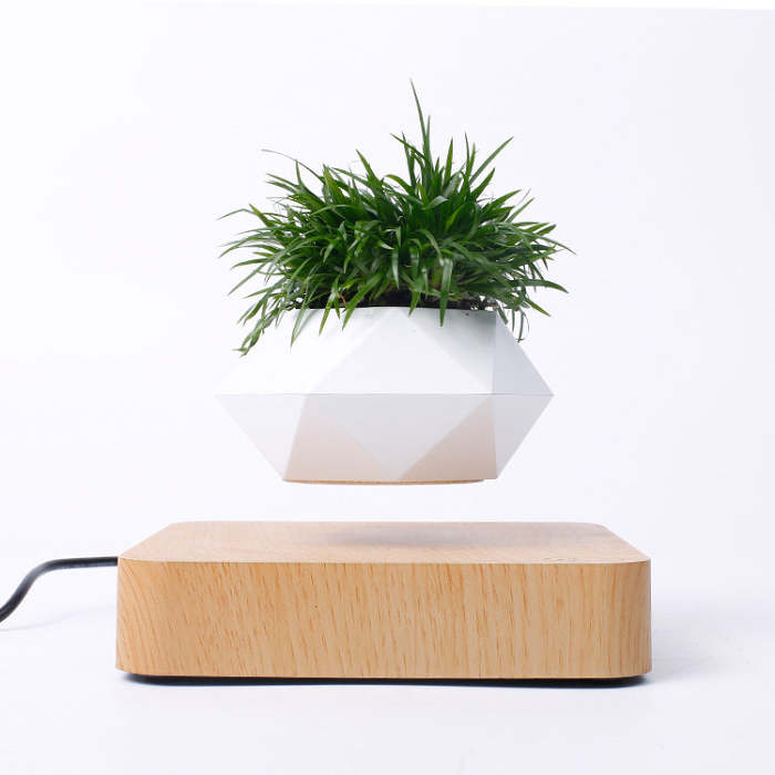 Magnetic Floating Levitating Plant Pot for Plants with Oak Wood Base