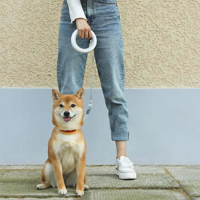 Smart LED Retractable Dog Leash
