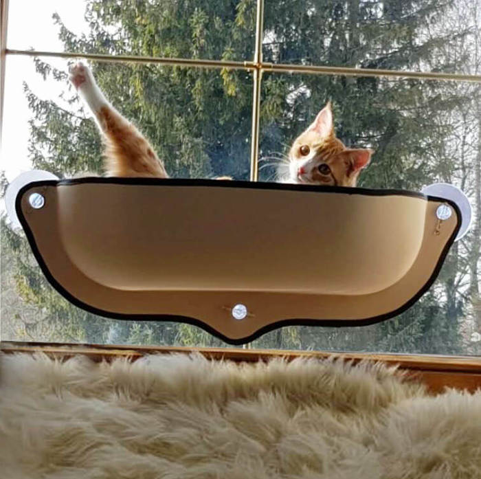 Cat Hammock