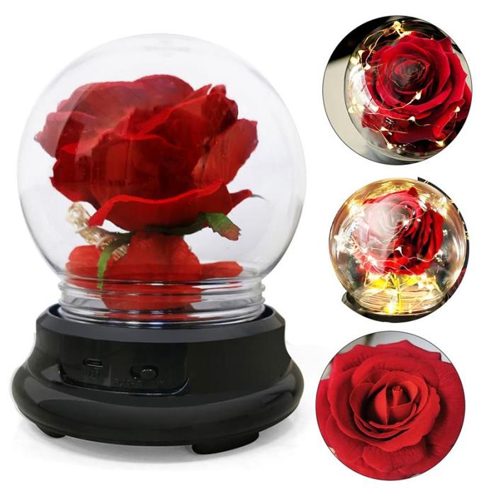 Beauty and Beast Rose Forever Flower
