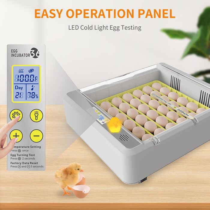 Egg Incubator 36 Eggs Fully Automatic Digital Poultry Hatching Machine Temperature Control & Automatic Egg Turner Egg Incubator for Hatching Chicks for Chickens Ducks Goose Birds