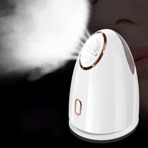 Home Portable Hot Spray Face Steamer by Veasoon