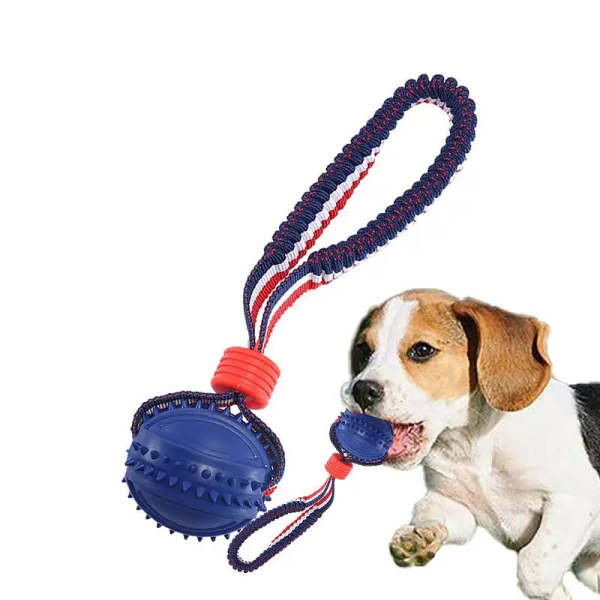 Interactive dog toy ball with rope.