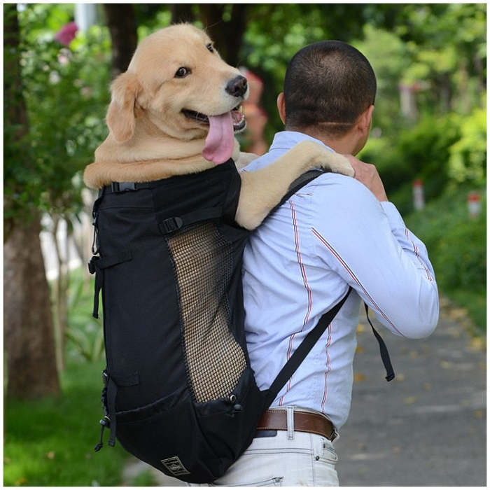 Motorcycle Dog Carrier - Large Dog Backpack