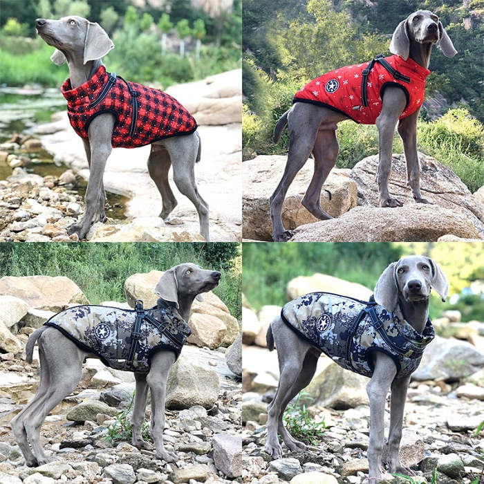 Pet Waterproof Winter Warm Dog Jacket With Harness