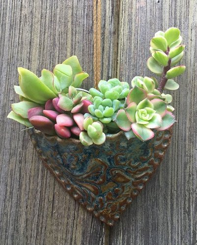 Planting Succulent Heart Pocket Planter