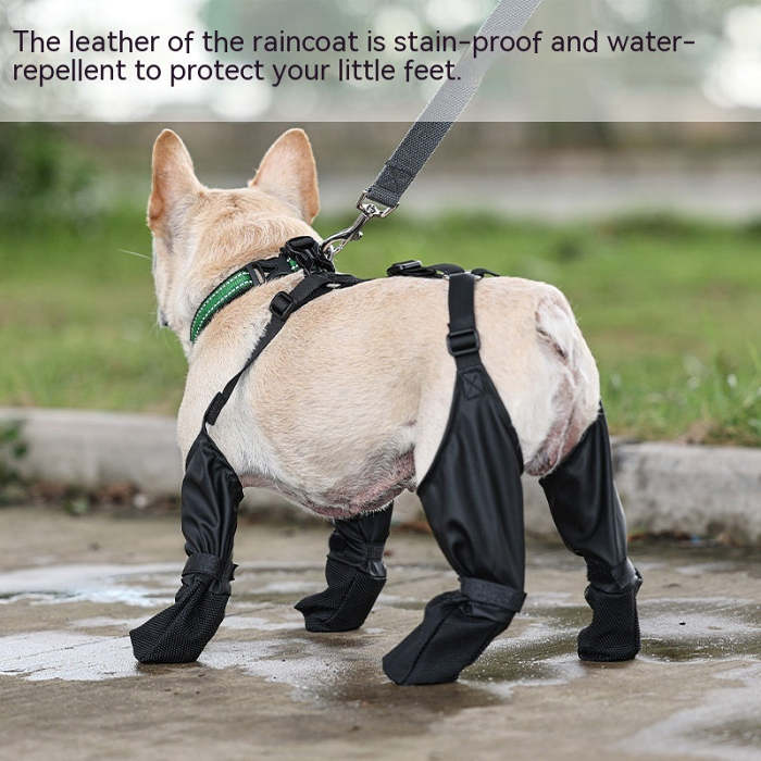 Adjustable waterproof dog shoes.