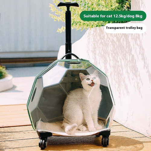 Portable Transparent Pet Trolley Suitcase.
