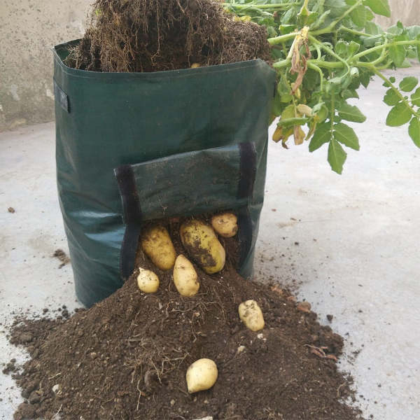 Potato Planting Bag, 5PCS Garden Potato Grow Bag Potato Planter Bag PE Plant Container Vegetables Growing Bag