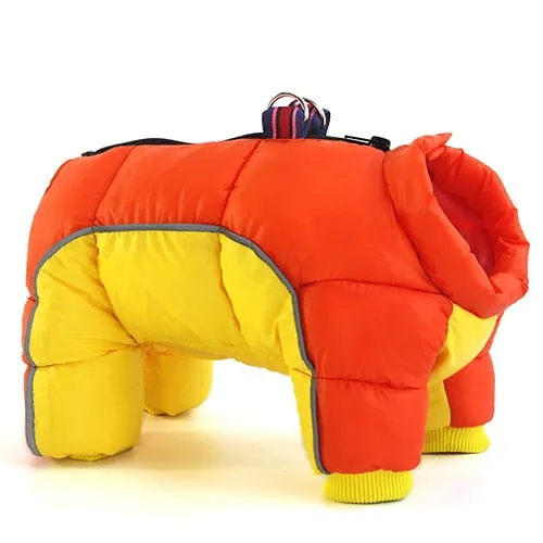 Winter Super Warm Waterproof Small Dog Coat Jacket
