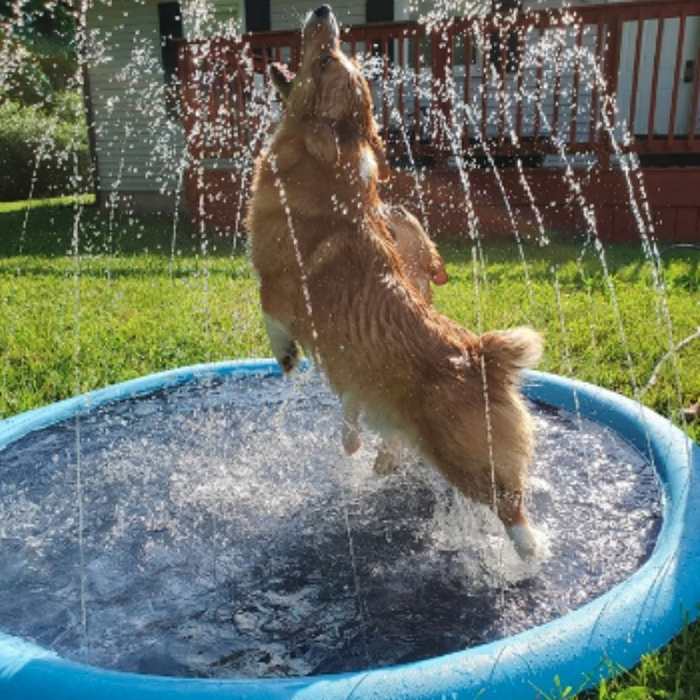 Foldable Splash Sprinkler Pad for Dogs & Kids